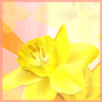 Click to send this Card
